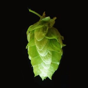 Cluster Hops 100g