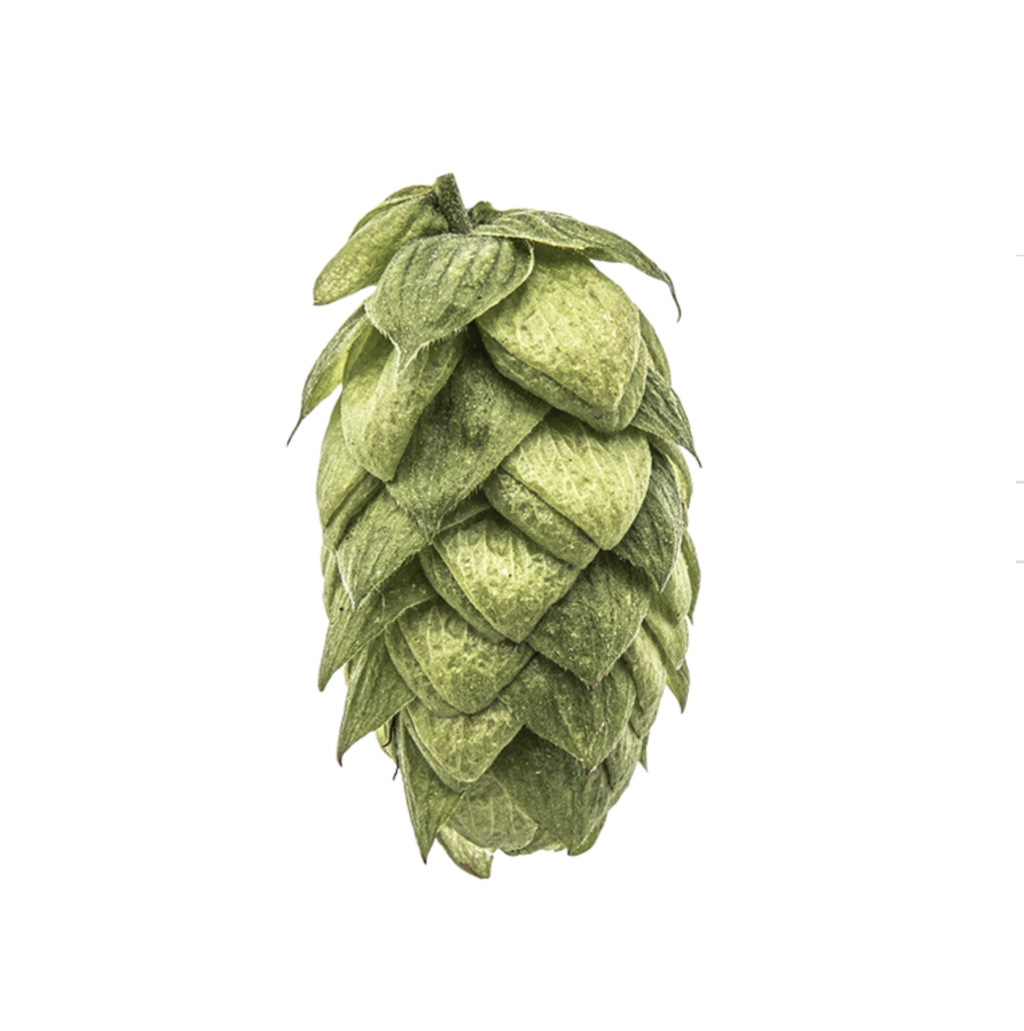 Azacca Hops