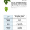 Centennial Hops - Image 3