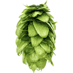 Sabro Hops