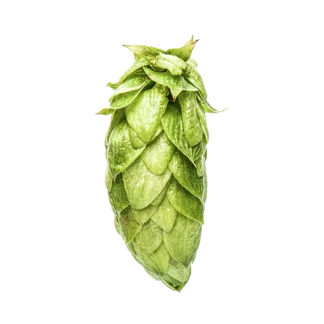 Nectaron Hops